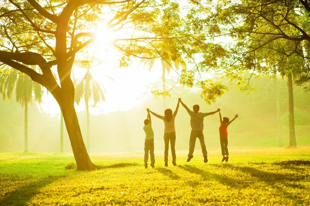 Family holding hands and facing into the sun